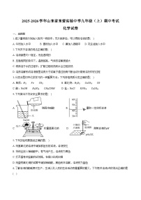 2025-2026学年山东省东营实验中学九年级（上）期中化学试卷（含答案）