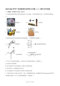 2025-2026学年广东省深圳市龙华区九年级(上)期中化学试卷(含答案)