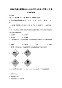 河南省许昌市襄城县2024-2025学年九年级上学期11月期中考试化学试卷（学生版）
