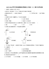 2025-2026学年甘肃省陇南市武都区九年级（上）期中化学试卷-自定义类型