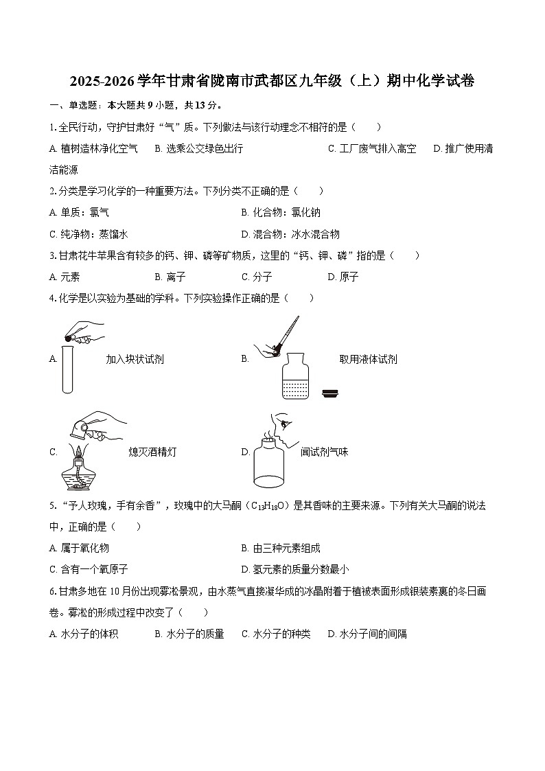 2025-2026学年甘肃省陇南市武都区九年级(上)期中化学试卷-自定义类型第1页