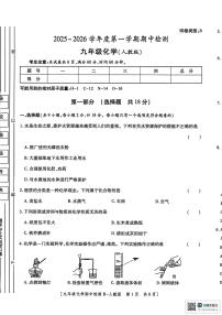 陕西省渭南市临渭区2025-2026学年九年级上学期期中考试化学试卷