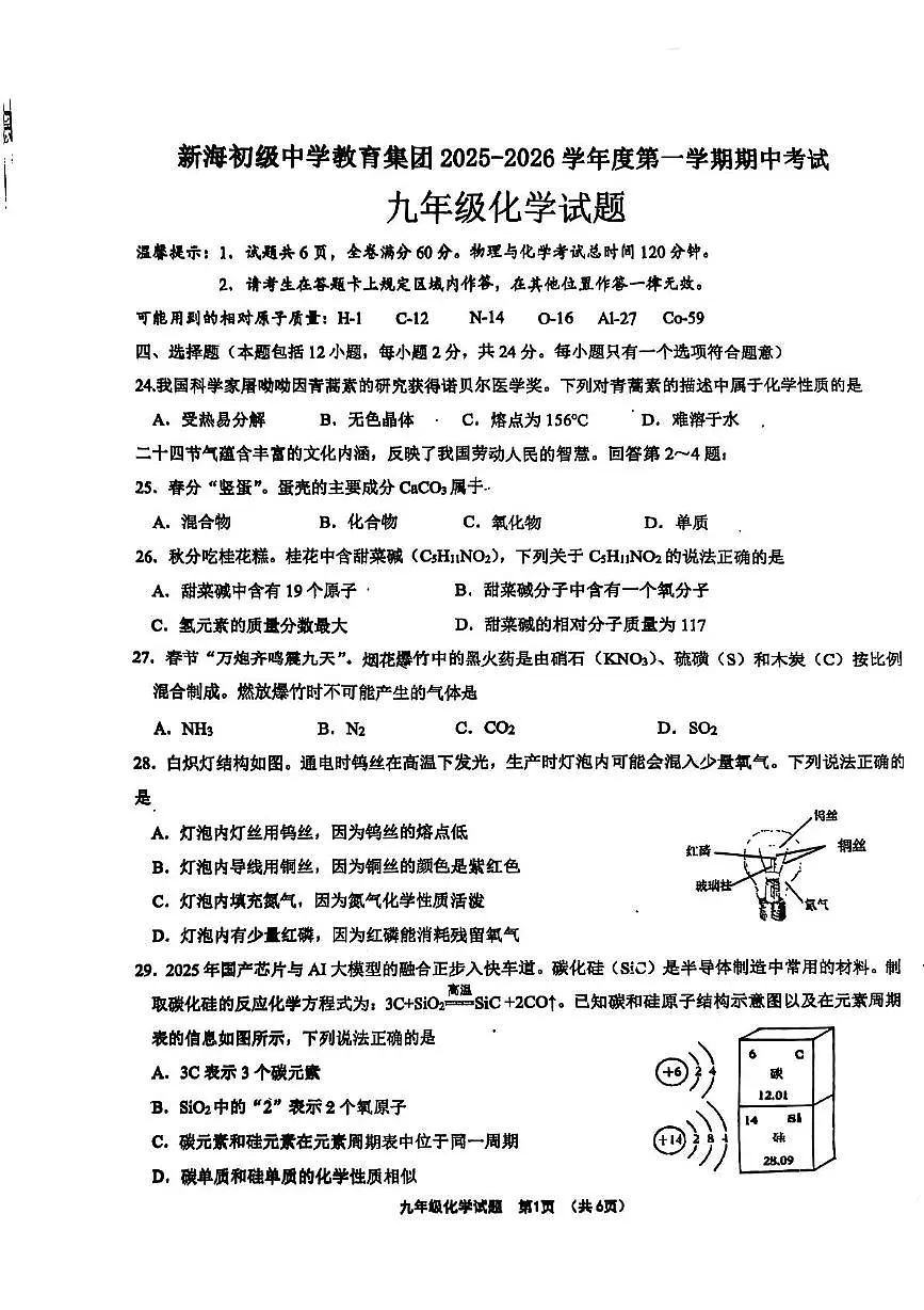 江苏省连云港市新海初级中学2025-2026学年九年级上学期期中化学试题第1页