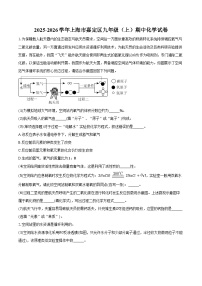 2025-2026学年上海市嘉定区九年级（上）期中化学试卷（含答案）