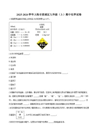 2025-2026学年上海市黄浦区九年级（上）期中化学试卷（含答案）