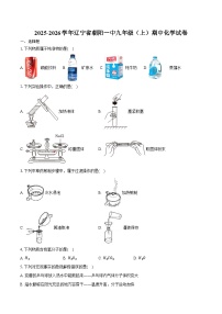 2025-2026学年辽宁省朝阳一中九年级(上)期中化学试卷(含答案)