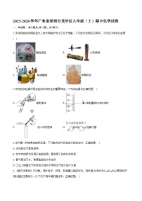 2025-2026学年广东省深圳市龙华区九年级（上）期中化学试卷（含答案）