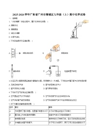 2025-2026学年广东省广州市增城区九年级（上）期中化学试卷（含答案）