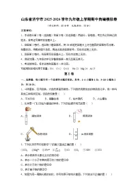 山东省济宁市2025-2026学年九年级上学期期中自编模拟卷化学试卷（学生版）