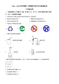 精品解析：广东省深圳市龙岗区2024--2025学年九年级上学期期中独立作业检查化学试题含答案