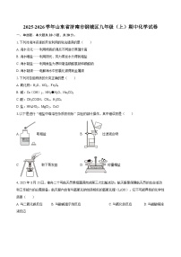 2025-2026学年山东省济南市钢城区九年级（上）期中化学试卷-自定义类型