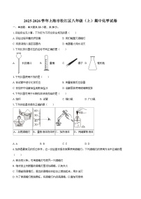 2025-2026学年上海市松江区八年级（上）期中化学试卷-自定义类型