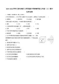 2025-2026学年天津市南开大学附属中学津南学校九年级（上）期中化学试卷-自定义类型