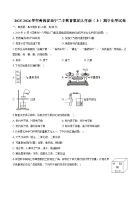 2025-2026学年青海省西宁二中教育集团九年级（上）期中化学试卷