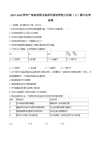 2025-2026学年广东省深圳市盐田外国语学校九年级（上）期中化学试卷-自定义类型