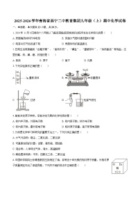 2025-2026学年青海省西宁二中教育集团九年级（上）期中化学试卷-自定义类型