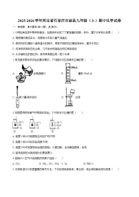 2025-2026学年河北省石家庄市赵县九年级（上）期中化学试卷-自定义类型