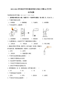 江苏省南京郑和外国语学校2023-2024学年九年级上学期10月月考化学试题