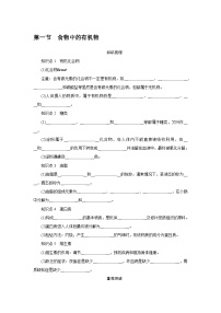 初中化学食物中的有机物优质导学案及答案