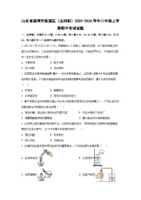 山东省淄博市临淄区（五四制）2025-2026学年八年级上学期期中考试化学试卷（学生版）