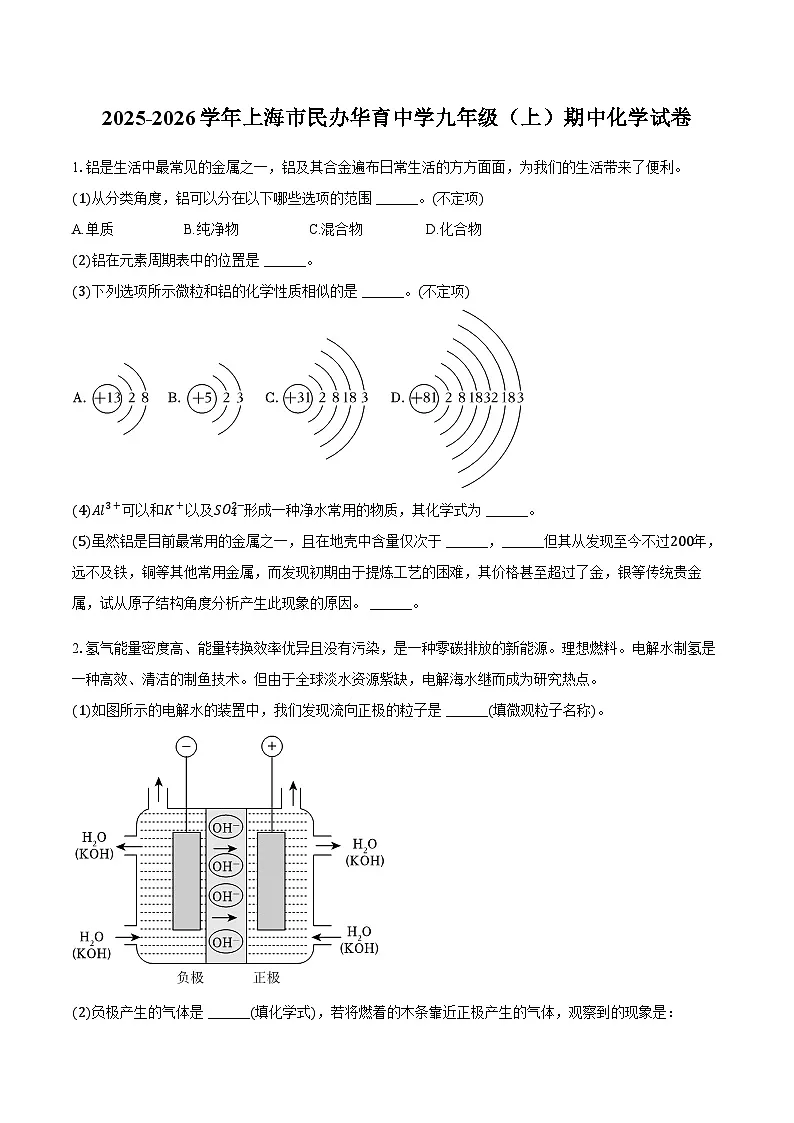 上海市民办华育中学2025-2026学年九年级(上)期中化学试卷(含答案)第1页