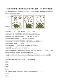 上海市徐汇区位育中学2025-2026学年九年级（上）期中化学试卷（含答案）