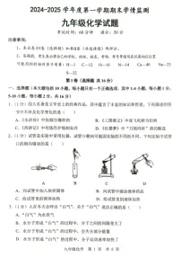 山东省济宁市金乡县2024-2025学年九年级上学期1月期末考试化学试题