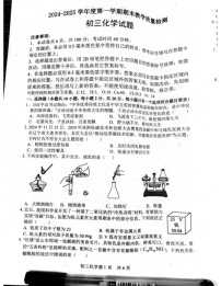 山东省菏泽市郓城县2024-2025学年九年级上学期期末考试化学试卷