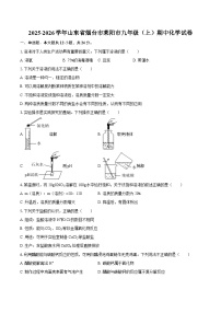 2025-2026学年山东省烟台市莱阳市九年级（上）期中化学试卷-自定义类型