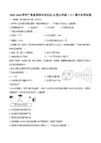 2025-2026学年广东省深圳市宝安区22校九年级(上)期中化学试卷(含答案)