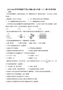 2025-2026学年河南省平顶山市鲁山县九年级(上)期中化学试卷(含答案)