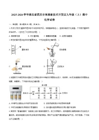 2025-2026学年湖北省武汉市东湖新技术开发区九年级（上）期中化学试卷（含答案）