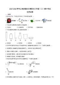 2025-2026学年山东省烟台市莱阳市八年级（上）期中化学试卷（含答案）