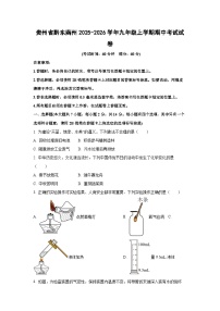 贵州省黔东南州2025-2026学年九年级上学期期中考试化学试卷（学生版）