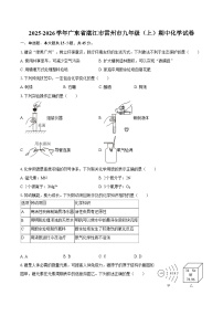 2025-2026学年广东省湛江市雷州市九年级(上)期中化学试卷-自定义类型