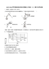 2025-2026学年陕西省宝鸡市凤翔区九年级（上）期中化学试卷-自定义类型
