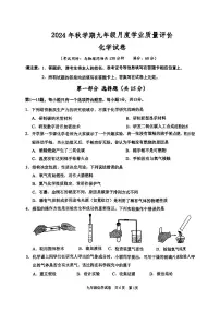 江苏省泰州市兴化市2024-2025学年九年级上学期10月月考化学试题