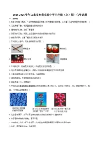 2025-2026学年山东省东营实验中学八年级（上）期中化学试卷（含答案）