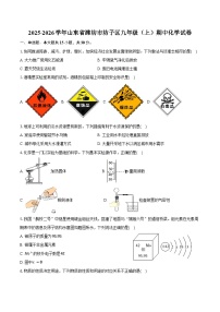 2025-2026学年山东省潍坊市坊子区九年级（上）期中化学试卷（含答案）