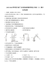 2025-2026学年四川省广安市岳池县翔凤学校九年级（上）期中化学试卷（含答案）