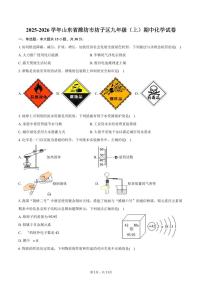 2025-2026学年山东省潍坊市坊子区九年级（上）期中化学试卷（含答案）
