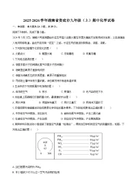 2025-2026学年湖南省娄底市九年级（上）期中化学试卷-自定义类型