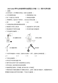 2025-2026学年山东省菏泽市成武县九年级(上)期中化学试卷(含答案)