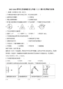 2025-2026学年江苏省南京市九年级（上）期中化学练习试卷-自定义类型