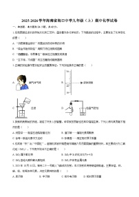 2025-2026学年海南省海口中学九年级(上)期中化学试卷-自定义类型