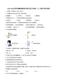 2025-2026学年湖南省邵阳市洞口县九年级（上）期中化学试卷-自定义类型