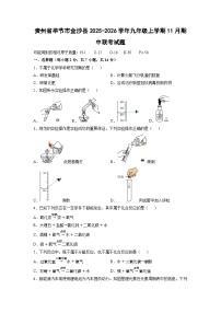 贵州省毕节市金沙县2025-2026学年九年级上学期11月期中联考化学试卷(学生版)
