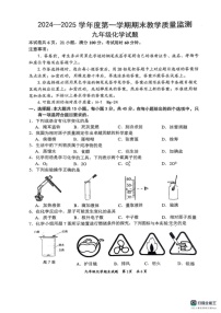 广东省惠州市惠阳区2024-2025学年九年级上学期1月期末化学试题