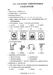 广东省清远市清新区2024-2025学年九年级上学期1月期末考试化学试题