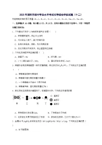 广东省深圳市2025年初中学业水平考试化学综合评估试卷（十二）-含答案